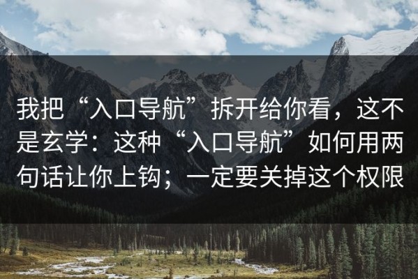 我把“入口导航”拆开给你看，这不是玄学：这种“入口导航”如何用两句话让你上钩；一定要关掉这个权限