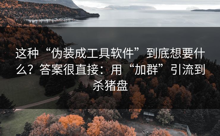 这种“伪装成工具软件”到底想要什么？答案很直接：用“加群”引流到杀猪盘